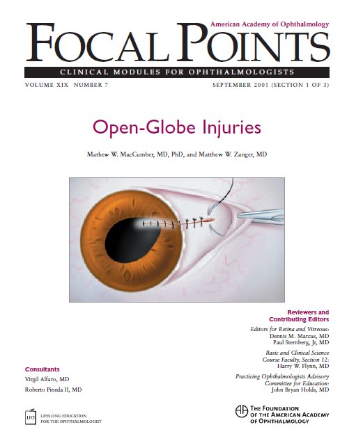 Focal Points 2010 : Clinical Modules for Ophthalmologists